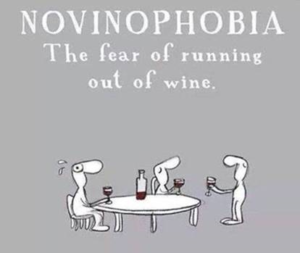 novinophobia